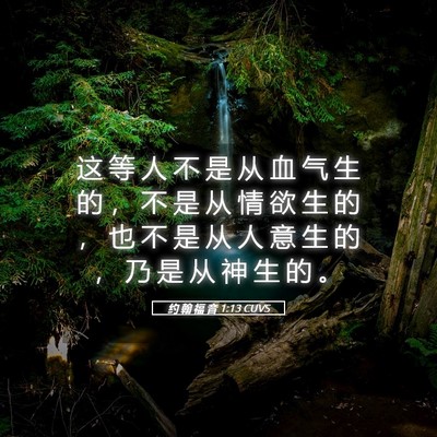 Picture 05 - 约 翰 福 音 1:13 CUVS - 这 等 人 不 是 从 血 气 生 的 ， 不 - Bible Verse Picture