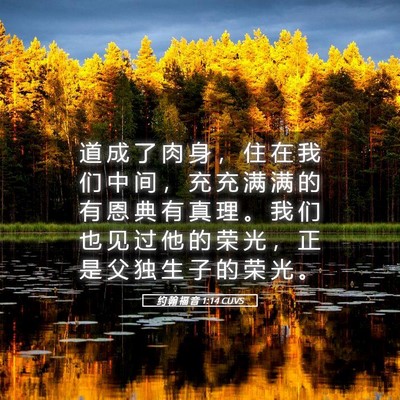 Picture 05 - 约 翰 福 音 1:14 CUVS - 道 成 了 肉 身 ， 住 在 我 们 中 间 - Bible Verse Picture