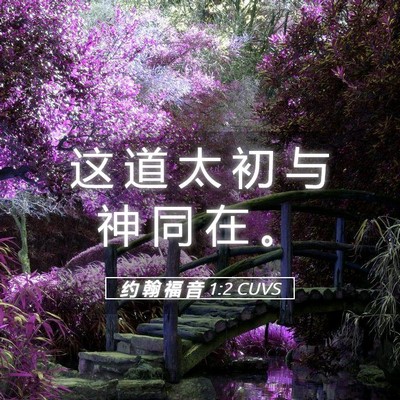 Picture 05 - 约 翰 福 音 1:2 CUVS - 这 道 太 初 与 神 同 在 - Bible Verse Picture