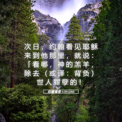 Picture 05 - 约 翰 福 音 1:29 CUVS - 次 日 ， 约 翰 看 见 耶 稣 来 到 他 - Bible Verse Picture