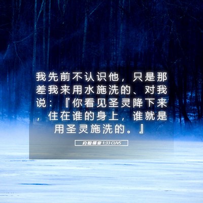 Picture 05 - 约 翰 福 音 1:33 CUVS - 我 先 前 不 认 识 他 ， 只 是 那 差 - Bible Verse Picture