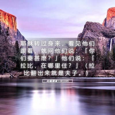 Picture 05 - 约 翰 福 音 1:38 CUVS - 耶 稣 转 过 身 来 ， 看 见 他 们 跟 - Bible Verse Picture