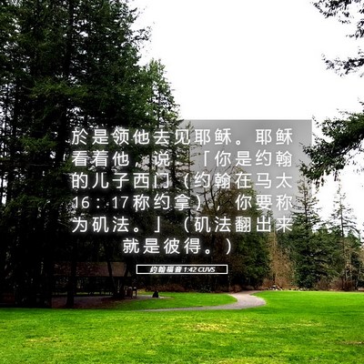 Picture 05 - 约 翰 福 音 1:42 CUVS - 於 是 领 他 去 见 耶 稣 。 耶 稣 看 - Bible Verse Picture
