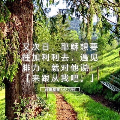 Picture 05 - 约 翰 福 音 1:43 CUVS - 又 次 日 ， 耶 稣 想 要 往 加 利 利 - Bible Verse Picture