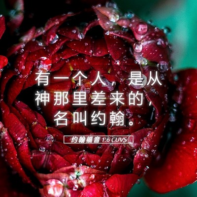 Picture 05 - 约 翰 福 音 1:6 CUVS - 有 一 个 人 ， 是 从 神 那 里 差 来 - Bible Verse Picture