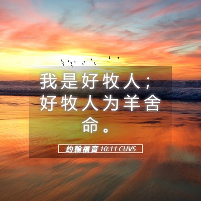 Picture 05 - 约 翰 福 音 10:11 CUVS - 我 是 好 牧 人 ； 好 牧 人 为 羊 舍 - Bible Verse Picture