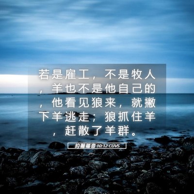 Picture 05 - 约 翰 福 音 10:12 CUVS - 若 是 雇 工 ， 不 是 牧 人 ， 羊 也 - Bible Verse Picture