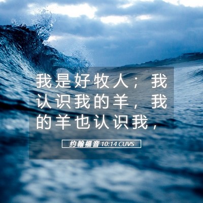 Picture 05 - 约 翰 福 音 10:14 CUVS - 我 是 好 牧 人 ； 我 认 识 我 的 羊 - Bible Verse Picture