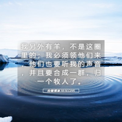 Picture 05 - 约 翰 福 音 10:16 CUVS - 我 另 外 有 羊 ， 不 是 这 圈 里 的 - Bible Verse Picture