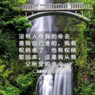 Picture 05 - 约 翰 福 音 10:18 CUVS - 没 有 人 夺 我 的 命 去 ， 是 我 自 - Bible Verse Picture