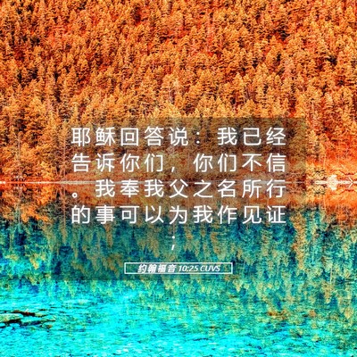 Picture 05 - 约 翰 福 音 10:25 CUVS - 耶 稣 回 答 说 ： 我 已 经 告 诉 你 - Bible Verse Picture