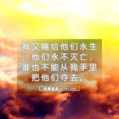 Picture 05 - 约 翰 福 音 10:28 CUVS - 我 又 赐 给 他 们 永 生 ； 他 们 永 - Bible Verse Picture