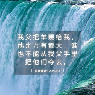 Picture 05 - 约 翰 福 音 10:29 CUVS - 我 父 把 羊 赐 给 我 ， 他 比 万 有 - Bible Verse Picture