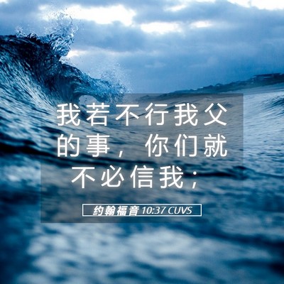 Picture 05 - 约 翰 福 音 10:37 CUVS - 我 若 不 行 我 父 的 事 ， 你 们 就 - Bible Verse Picture