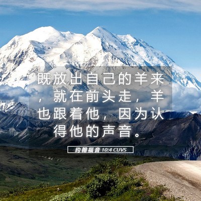 Picture 05 - 约 翰 福 音 10:4 CUVS - 既 放 出 自 己 的 羊 来 ， 就 在 前 - Bible Verse Picture