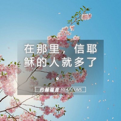 Picture 05 - 约 翰 福 音 10:42 CUVS - 在 那 里 ， 信 耶 稣 的 人 就 多 了 - Bible Verse Picture