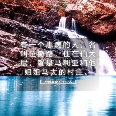 Picture 05 - 约 翰 福 音 11:1 CUVS - 有 一 个 患 病 的 人 ， 名 叫 拉 撒 - Bible Verse Picture
