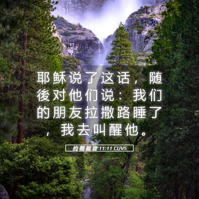 Picture 05 - 约 翰 福 音 11:11 CUVS - 耶 稣 说 了 这 话 ， 随 後 对 他 们 - Bible Verse Picture