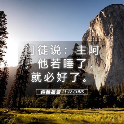 Picture 05 - 约 翰 福 音 11:12 CUVS - 门 徒 说 ： 主 阿 ， 他 若 睡 了 ， - Bible Verse Picture