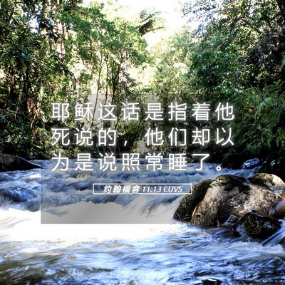 Picture 05 - 约 翰 福 音 11:13 CUVS - 耶 稣 这 话 是 指 着 他 死 说 的 ， - Bible Verse Picture