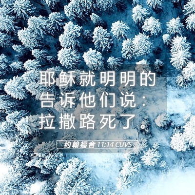 Picture 05 - 约 翰 福 音 11:14 CUVS - 耶 稣 就 明 明 的 告 诉 他 们 说 ： - Bible Verse Picture