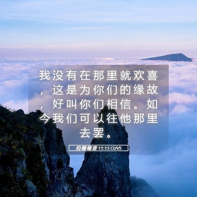 Picture 05 - 约 翰 福 音 11:15 CUVS - 我 没 有 在 那 里 就 欢 喜 ， 这 是 - Bible Verse Picture