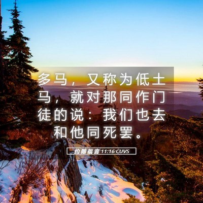 Picture 05 - 约 翰 福 音 11:16 CUVS - 多 马 ， 又 称 为 低 土 马 ， 就 对 - Bible Verse Picture
