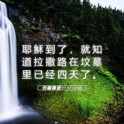 Picture 05 - 约 翰 福 音 11:17 CUVS - 耶 稣 到 了 ， 就 知 道 拉 撒 路 在 - Bible Verse Picture