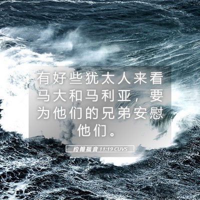 Picture 05 - 约 翰 福 音 11:19 CUVS - 有 好 些 犹 太 人 来 看 马 大 和 马 - Bible Verse Picture