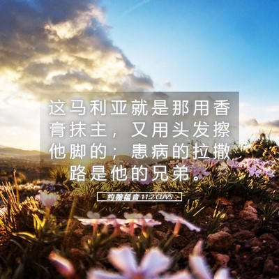 Picture 05 - 约 翰 福 音 11:2 CUVS - 这 马 利 亚 就 是 那 用 香 膏 抹 主 - Bible Verse Picture
