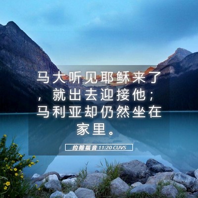 Picture 05 - 约 翰 福 音 11:20 CUVS - 马 大 听 见 耶 稣 来 了 ， 就 出 去 - Bible Verse Picture