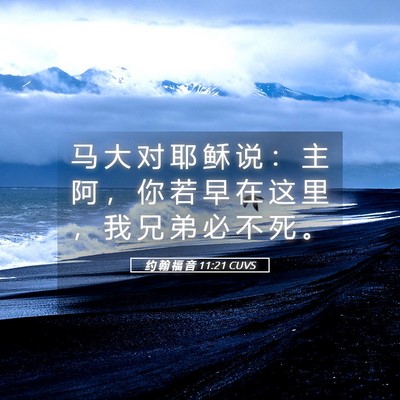 Picture 05 - 约 翰 福 音 11:21 CUVS - 马 大 对 耶 稣 说 ： 主 阿 ， 你 若 - Bible Verse Picture