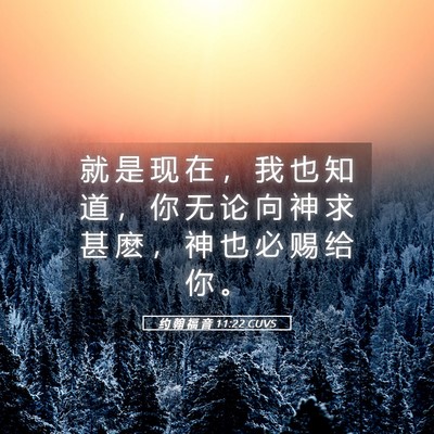 Picture 05 - 约 翰 福 音 11:22 CUVS - 就 是 现 在 ， 我 也 知 道 ， 你 无 - Bible Verse Picture