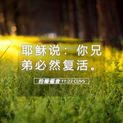 Picture 05 - 约 翰 福 音 11:23 CUVS - 耶 稣 说 ： 你 兄 弟 必 然 复 活 - Bible Verse Picture