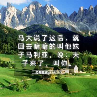 Picture 05 - 约 翰 福 音 11:28 CUVS - 马 大 说 了 这 话 ， 就 回 去 暗 暗 - Bible Verse Picture