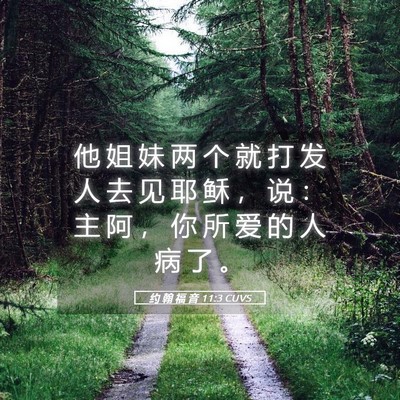 Picture 05 - 约 翰 福 音 11:3 CUVS - 他 姐 妹 两 个 就 打 发 人 去 见 耶 - Bible Verse Picture