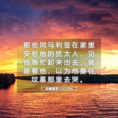 Picture 05 - 约 翰 福 音 11:31 CUVS - 那 些 同 马 利 亚 在 家 里 安 慰 他 - Bible Verse Picture