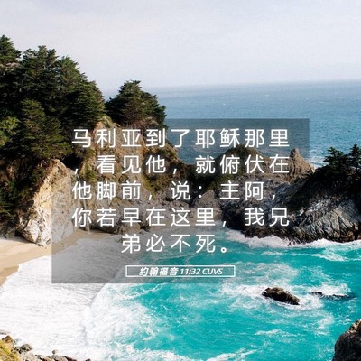 Picture 05 - 约 翰 福 音 11:32 CUVS - 马 利 亚 到 了 耶 稣 那 里 ， 看 见 - Bible Verse Picture