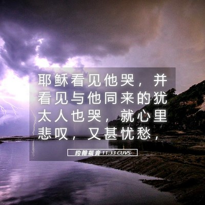 Picture 05 - 约 翰 福 音 11:33 CUVS - 耶 稣 看 见 他 哭 ， 并 看 见 与 他 - Bible Verse Picture