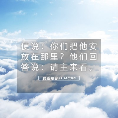 Picture 05 - 约 翰 福 音 11:34 CUVS - 便 说 ： 你 们 把 他 安 放 在 那 里 - Bible Verse Picture