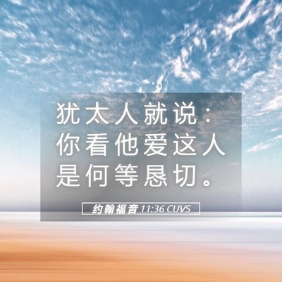 Picture 05 - 约 翰 福 音 11:36 CUVS - 犹 太 人 就 说 ： 你 看 他 爱 这 人 - Bible Verse Picture