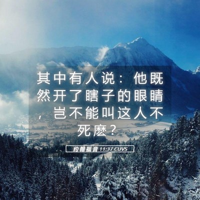 Picture 05 - 约 翰 福 音 11:37 CUVS - 其 中 有 人 说 ： 他 既 然 开 了 瞎 - Bible Verse Picture