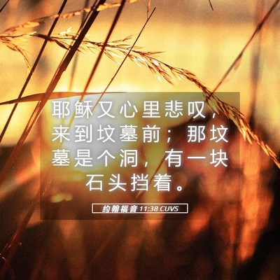 Picture 05 - 约 翰 福 音 11:38 CUVS - 耶 稣 又 心 里 悲 叹 ， 来 到 坟 墓 - Bible Verse Picture
