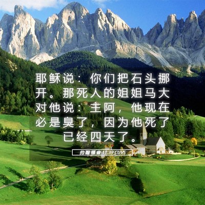 Picture 05 - 约 翰 福 音 11:39 CUVS - 耶 稣 说 ： 你 们 把 石 头 挪 开 。 - Bible Verse Picture
