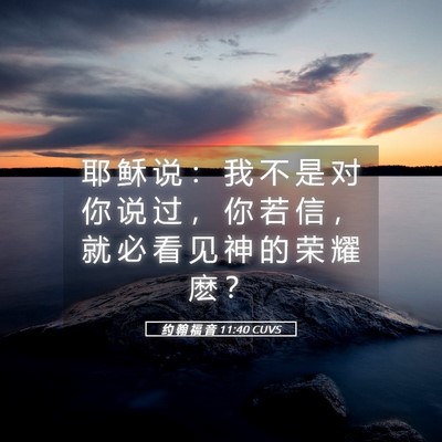 Picture 05 - 约 翰 福 音 11:40 CUVS - 耶 稣 说 ： 我 不 是 对 你 说 过 ， - Bible Verse Picture