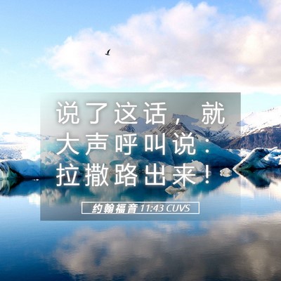 Picture 05 - 约 翰 福 音 11:43 CUVS - 说 了 这 话 ， 就 大 声 呼 叫 说 ： - Bible Verse Picture