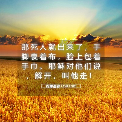 Picture 05 - 约 翰 福 音 11:44 CUVS - 那 死 人 就 出 来 了 ， 手 脚 裹 着 - Bible Verse Picture