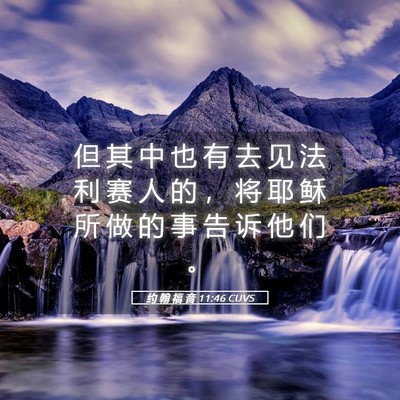 Picture 05 - 约 翰 福 音 11:46 CUVS - 但 其 中 也 有 去 见 法 利 赛 人 的 - Bible Verse Picture