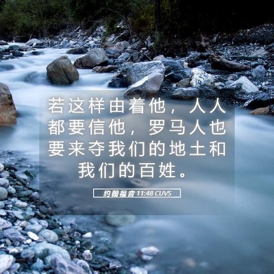 Picture 05 - 约 翰 福 音 11:48 CUVS - 若 这 样 由 着 他 ， 人 人 都 要 信 - Bible Verse Picture
