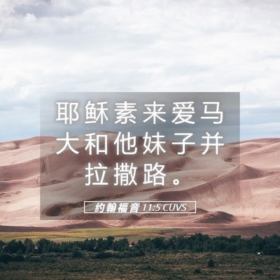 Picture 05 - 约 翰 福 音 11:5 CUVS - 耶 稣 素 来 爱 马 大 和 他 妹 子 并 - Bible Verse Picture